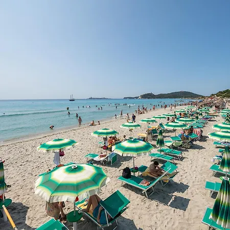 公寓式酒店 翠绿乡村度假酒店 维拉西米乌斯